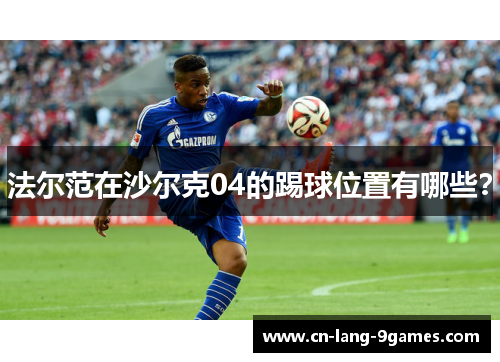 法尔范在沙尔克04的踢球位置有哪些？