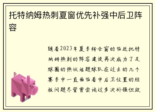 托特纳姆热刺夏窗优先补强中后卫阵容